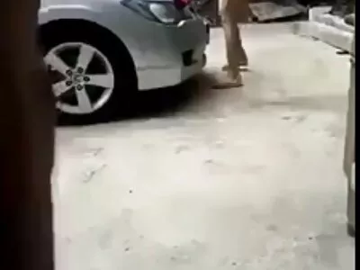 Europäische Hotties Elena Vega und sexfilme für ältere Ann Lace ficken im Wohnzimmer