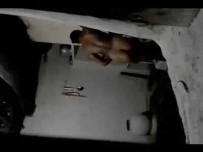 Die vollbusige gratis sexfilme reife frauen Schlampe Natasha Nice wird im Stall gefickt