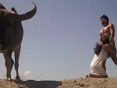 Nicolette Shea weiß, wie sexfilm alte frau man sich um nasse Muschis kümmert